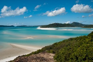 The New Zealand man went missing off the Whitsunday islands this afternoon after jumping off a moored boat.
Photo / Thinkstock