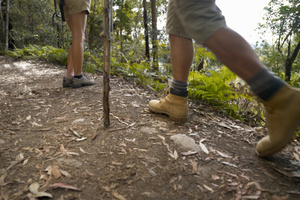 File photo / Thinkstock