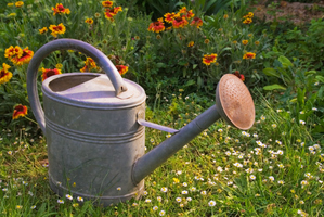 The right amount of water is crucial to the health of your new plants. Photo / Thinkstock