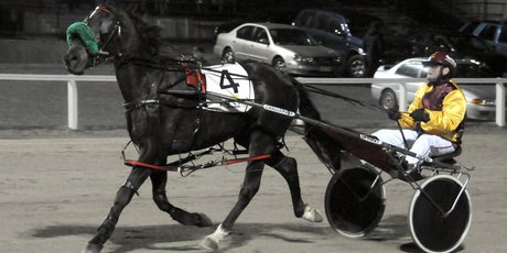 Canardly Lover is overdue a winning turn, which could come at Roxburgh today. Photo / Otago Daily Times