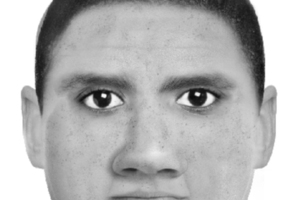 Police released a computer sketch giving a likeness of the offender who attacked a 62-year-old woman at the Victory Community Gardens in Nelson on New Year's Day. Photo / Supplied