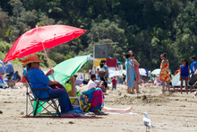 Popular Long Bay has struggled to cope with up to 25,000 visitors a day during the holiday season. Photo / Greg Bowker