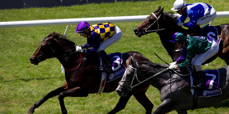 Gobi Ranger strides clear to win the Barneswood Farm Eclipse Stakes at Ellerslie. Photo / Sarah Ivey