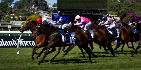 Miss Pelear (No 16, in blue) cuffs Full Of Spirit right on the line in the Rich Hill Mile at Ellerslie yesterday. Photo / Sarah Ivey