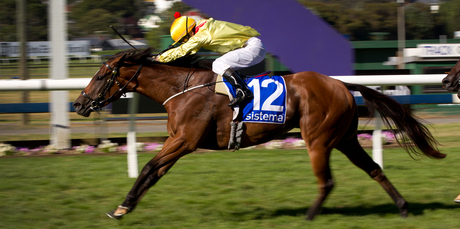 Finally Fleur De Lune has her day in the sun by notching her first group one success. Photo / Sarah Ivey