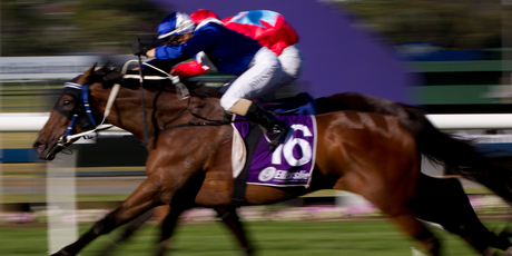 Danielle Johnson enjoyed a top day at Ellerslie. Photo / Sarah Ivey