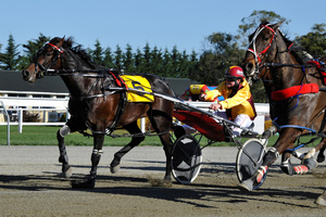 Franco Ledger enjoyed little luck at the NZ Trotting Cup Carnival but he looks well placed at Omakau tomorrow. Photo / APN