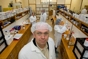 Argenta chief executive Doug Cleverly is forecasting sales of $4 million to Europe alone next year. Photo / Kenny Rodger