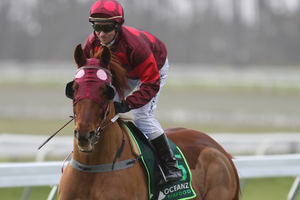 Rough Odds scampers away from Mosse to win the sprint at Tauranga yesterday. File photo / APN