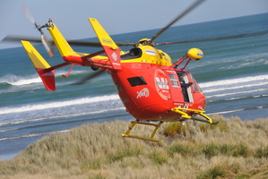 The $300,000 cut is in the Auckland Regional Amenities Funding Board's draft plan for 2013-14.