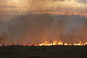 The blaze spread quickly, burning about 3ha of scrub and pasture. Photo / Thinkstock
