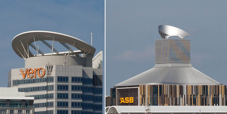 Are they trying to tell us something? Photo / Supplied