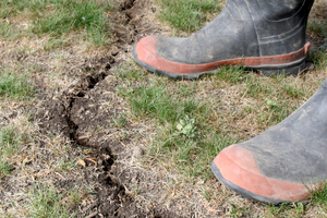 Soil moisture levels are in extreme deficit and drought is being considered in the Rangitikei and Manawatu Photo / Bevan Conley
