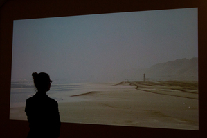 A woman watches '2.5 Kilometre Mono Action for a Mirage' by Alex Monteith. Photo / Supplied