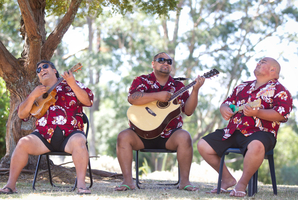 The Vaimutu string band practise before the Pasifika Festival. Photo / Richard Robinson