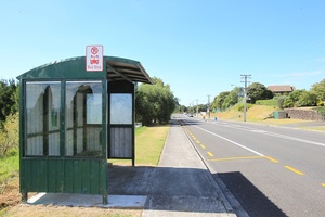 A man in a silver car was seen yesterday filiming kids getting on and off the bus near Palmers Garden Centre on Ohauiti Rd. Photo / Bay of Plenty Times