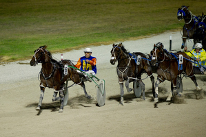 Ohoka Punter (6) wins the $250,000 Woodlands Stud Northern Derby at Alexandra Park last night. Photo / Dean Purcell