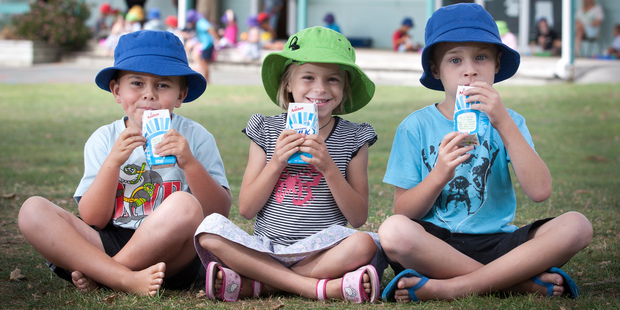 Six-year-olds Cooper Duff, Natalie Welch-White and Vadem Quelch enjoy their free milk at Whangarei's Kamo Primary School. Photo / Natalie Slade