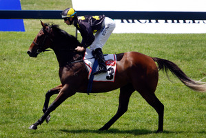 Hugh Bowman sticks with Streama, while Kerrin McEvoy returns to feature racing in Sydney. Photo / Sarah Ivey