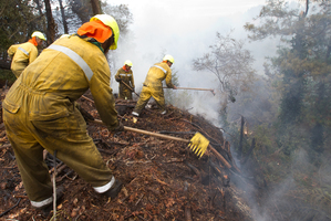 The union's main focus remains on the health and safety of firefighters. Photo / Rotorua Daily Post