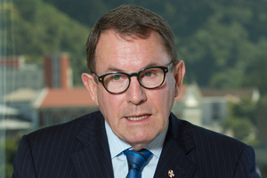 John Banks' Act Party is responsible for the charter school policy. Photo / Mark Mitchell