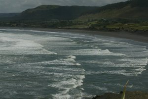 The beach at Muriwai. File photo / NZ Herald