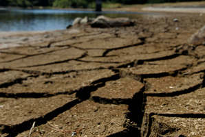 Lake Kiwitahi, the water reservoir at Kiwitahi, is drying up. Photo / Christine Cornege