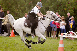 Amie Bentall of Hastings shows her form in Mounted Games training drills ahead of the Horse of the Year Show. Photo / APN