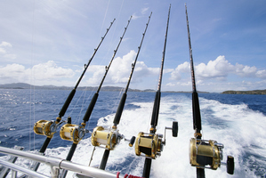 Photo / File / Thinkstock