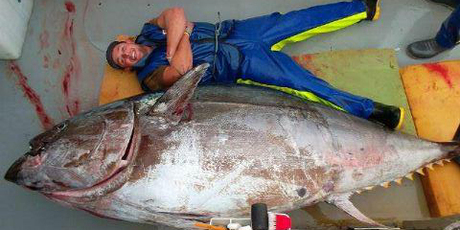Crew member Dan Walsh with the monster 415kg tuna. Photo / Facebook