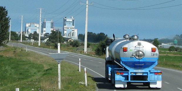 Fonterra boss Theo Spierings already has intimate knowledge of the Dutch dairy sector. Photo / Bay of Plenty Times