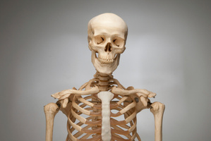 Photo / Thinkstock