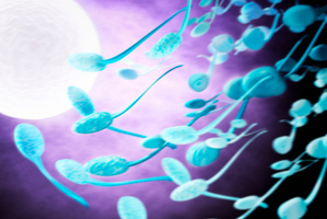 Sperm are faster swimmers in winter - research.Photo / Thinkstock