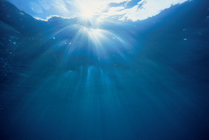 Photo / Thinkstock