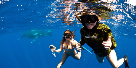 Whale watching in Niue. Photo / Supplied