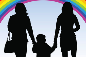 Same-sex adoption changes should come after full debate rather than follow marriage changes. Photo / Getty Images