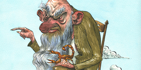 Illustration / Anna Crichton