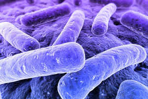 Super-bacteria are becoming more prevalent in New Zealand and around the world. Photo / Getty Images