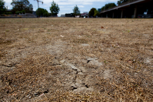 Victoria Park, Auckland. Photo / Sarah Ivey