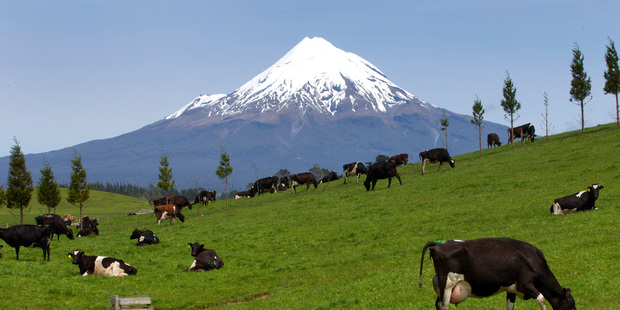 Mt Taranaki is an ever-present, picturesque backdrop to Stratford's streets. Photo / Mark Mitchell