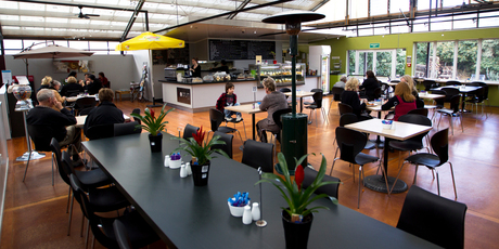 Arum Cafe in Glendene, Auckland. Photo / Richard Robinson