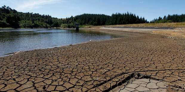Lake Kiwitahi the water reservoir at Kiwitahi, that supplies water to Morrinsville is drying up with a drought about to be announced in the Waikato. Photo / Christine Cornege