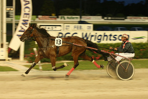 Stig has been given one more chance for a comeback. Photo / Glenn Jeffrey
