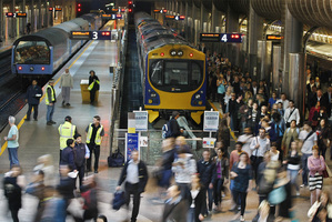 Cricket, Phoenix and Warriors fans must pay for their own transport. Photo / File