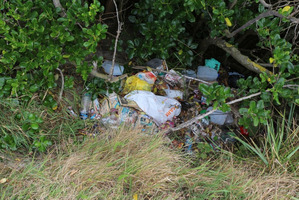 Household rubbish found dumped at John Wilson Ocean Dr during the Our Seas Our Future Coastal Cleanup. Photo / Supplied