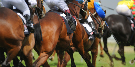 Since proving himself as a genuine stayer by winning the Victoria Derby (2500m), Fiveandahalfstar has had three starts, finishing second in all of them with Glen Boss aboard. Photo / Thinkstock
