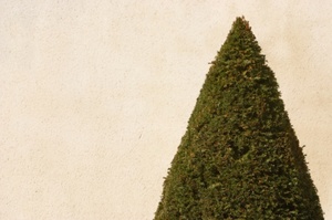 Why is a generation choosing to go bare down there?Photo / Thinkstock