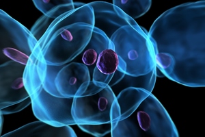 The trust's financial records show it has donated $48,563.25 towards cancer research between July 2007 and June 2011. File photo / Thinkstock