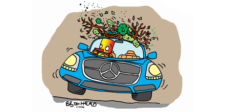 Cartoon / Peter Bromhead