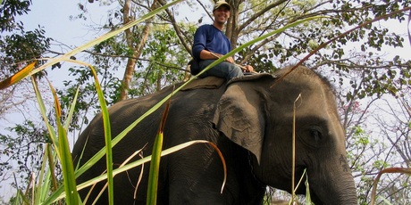 Dr Piers Locke rides an elephant in Nepal. 